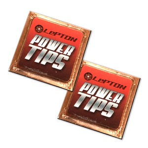 レプトンパワーチップス２個セット 燃費 向上 グッズ 車 パワーアップ トルク アップ 静電気 除去 チューニングパーツ