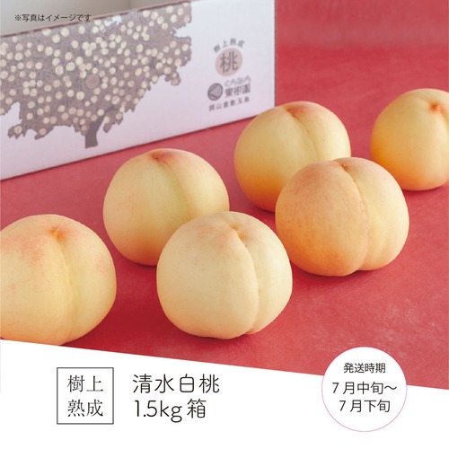 清水白桃 1.5kg箱（5～6玉）
