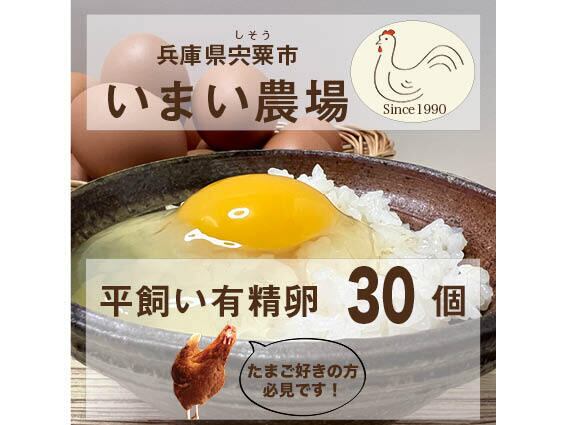 平飼い有精卵30個【宍粟市_いまい農場_平飼い有精卵_T30】 | いまい農場