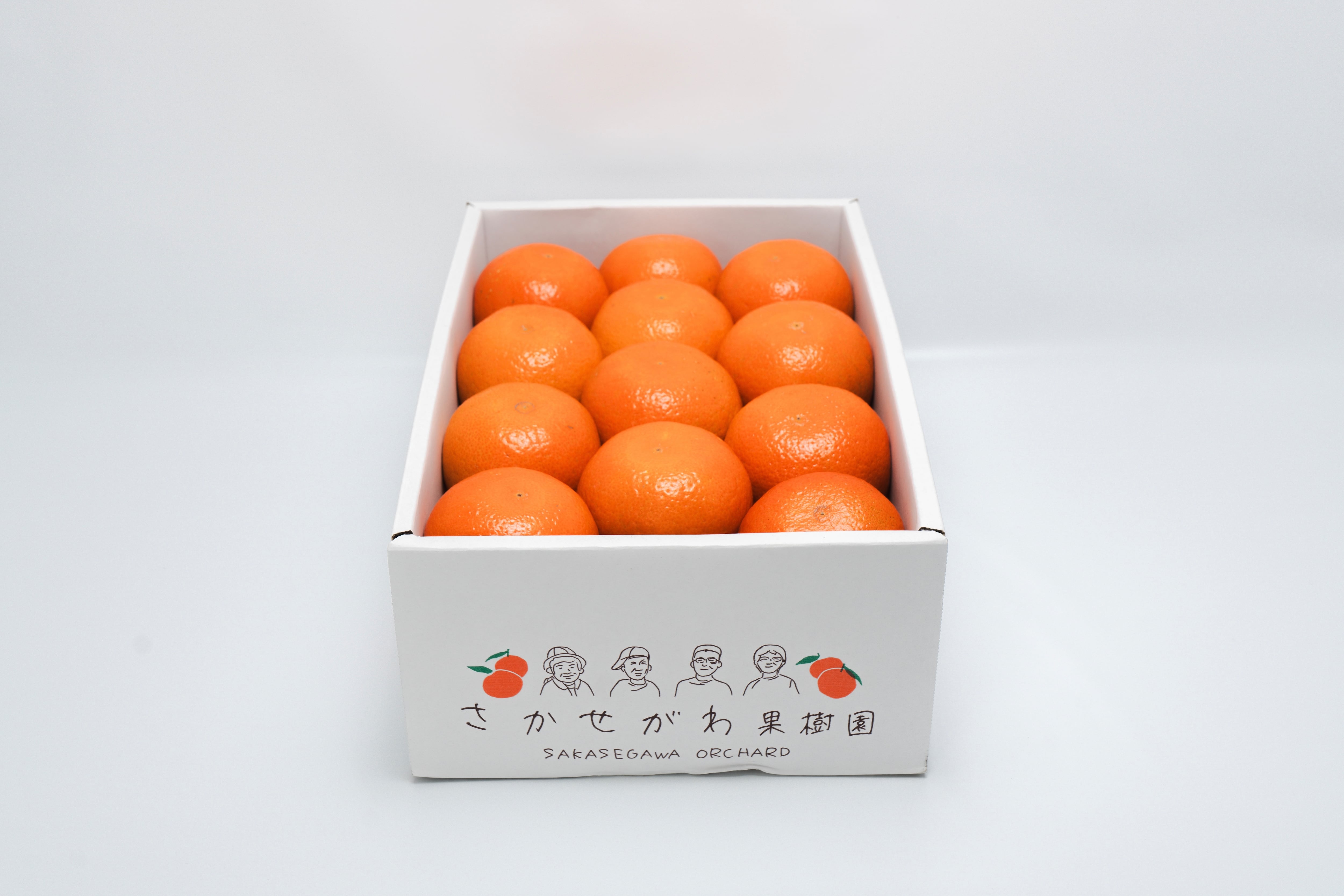 たんかん】3Lサイズ｜5kg （24個入り）2箱 | 酒瀬川果樹園