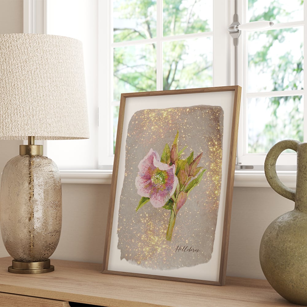 クリスマスローズのポスター / i1119 / 冬から春の花 ボタニカル