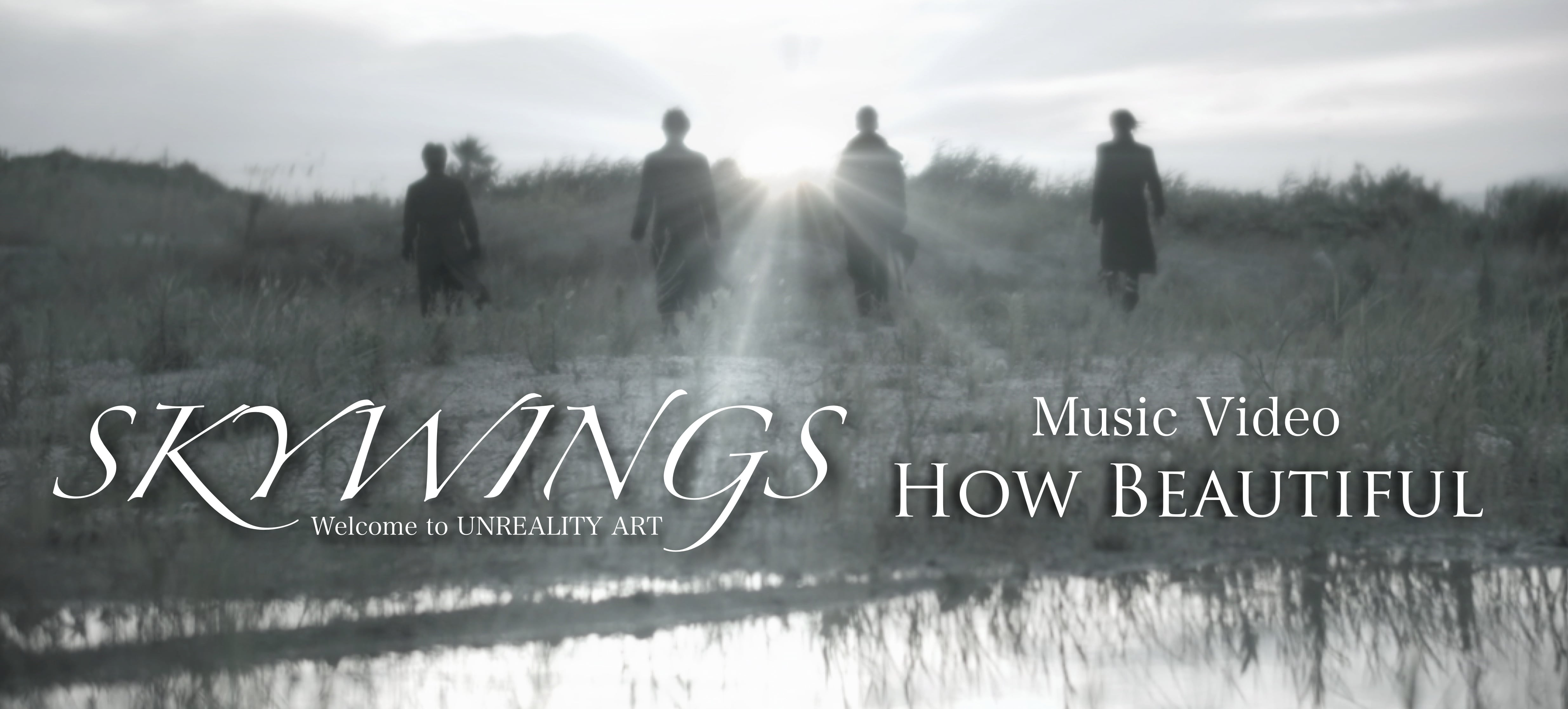 SKYWINGS/SKY ANTHEM Pt.1/ジャパメタ SKYWINGS/SKY ANTHEM Pt.1