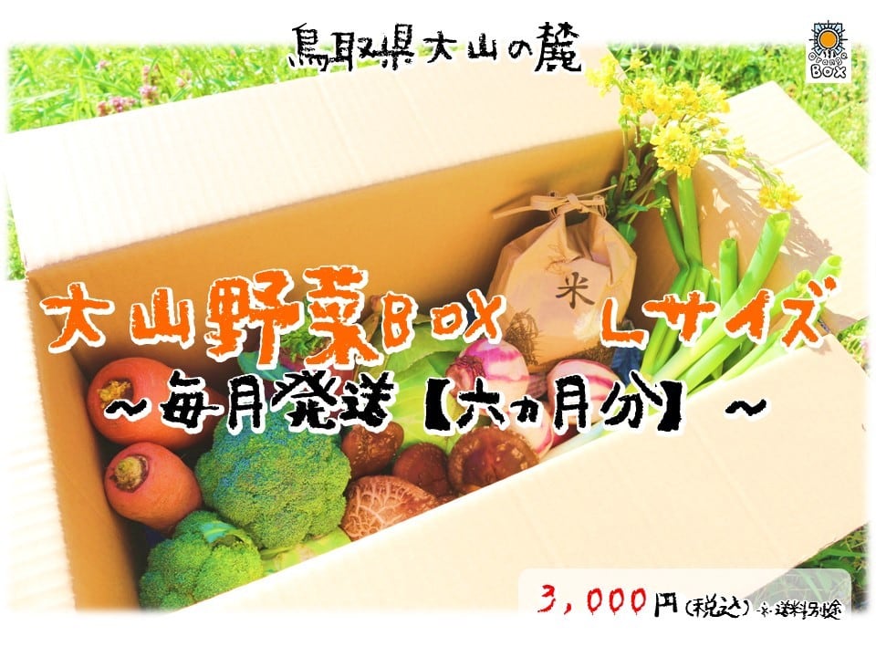 9e20d8ba50fe60253ff113fd6ff342