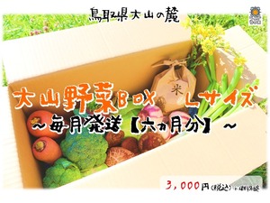 【定期便～毎月発送～】大山野菜Box　Lサイズ　※定期便のため500円分野菜追加サービス