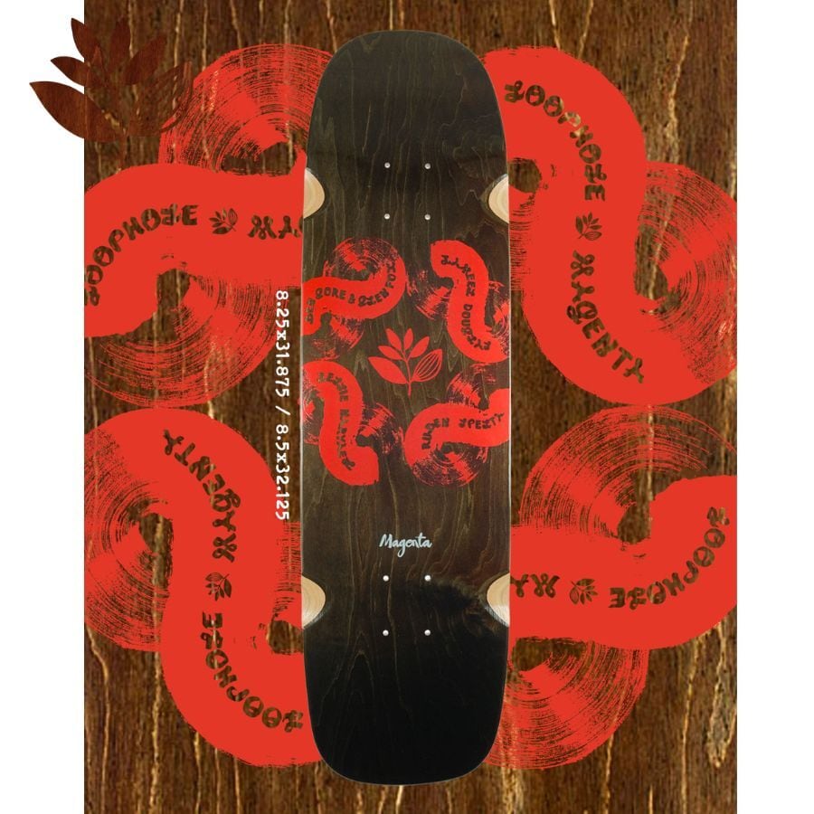 SANTA CRUZ VX WINKOWSKI DOPE PLANET 8.8inch サンタクルーズ デッキ
