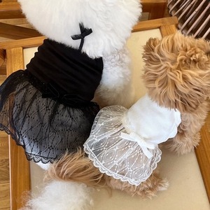 【PET】全2色プリンセス風レース裾キャミワンピース