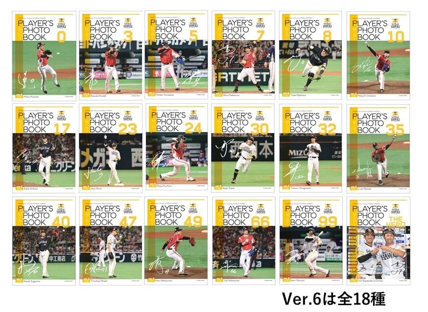 9e2b669a9b0a90747b7d86b50793bc