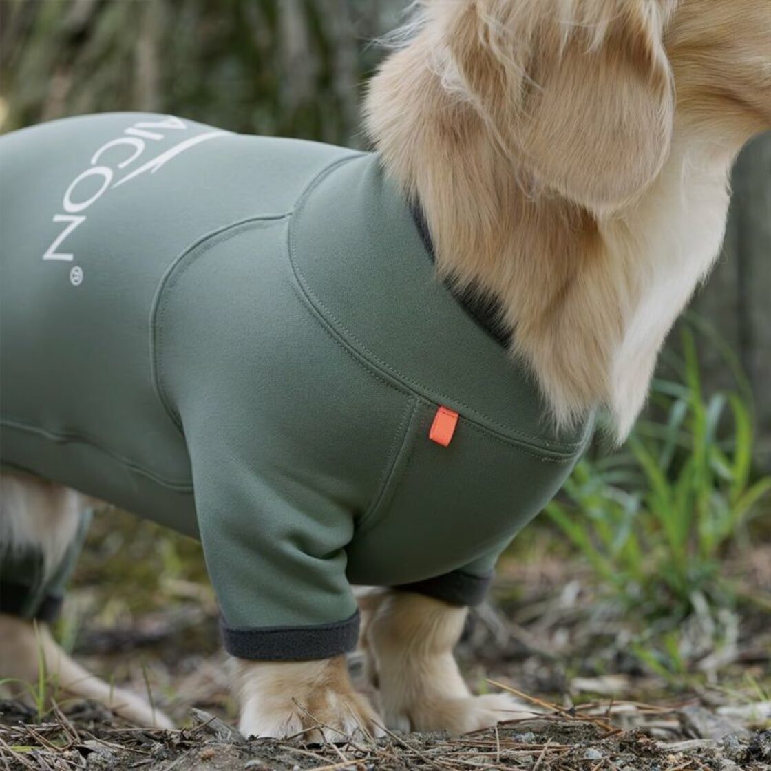 アルファアイコン ホットドックガード S 札幌店 ご来店のお客様》 ⁡ 札幌店でご試着してくださった わんちゃんのご紹介です🐶 ⁡  ️みなさまとってもお似合いでした❣ ご来店ありがとうございました！ ⁡ ◎ワイマラナー メイちゃん(21kg) 着用▷フルドッグガード 3Lサイズ  ...