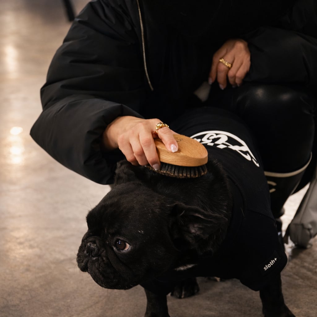 【木製 ペットブラシ オークウッド BOAR】レーザー加工