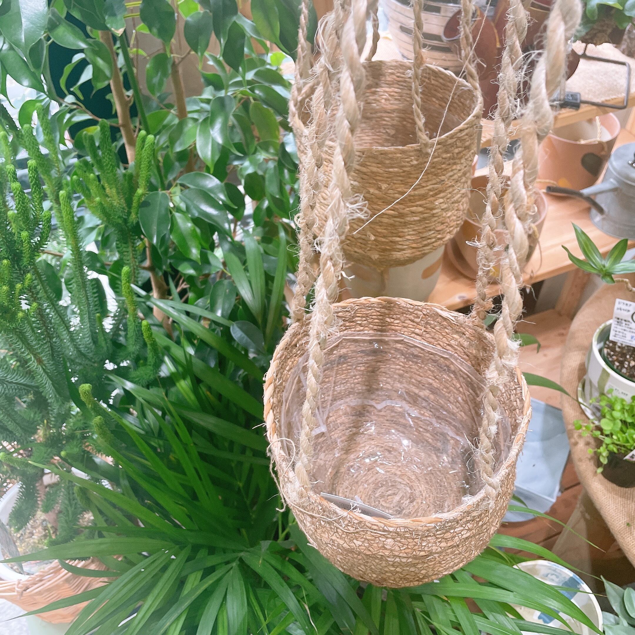 ハンギングバスケット(5号サイズ) | Gardenえん ネットショップ