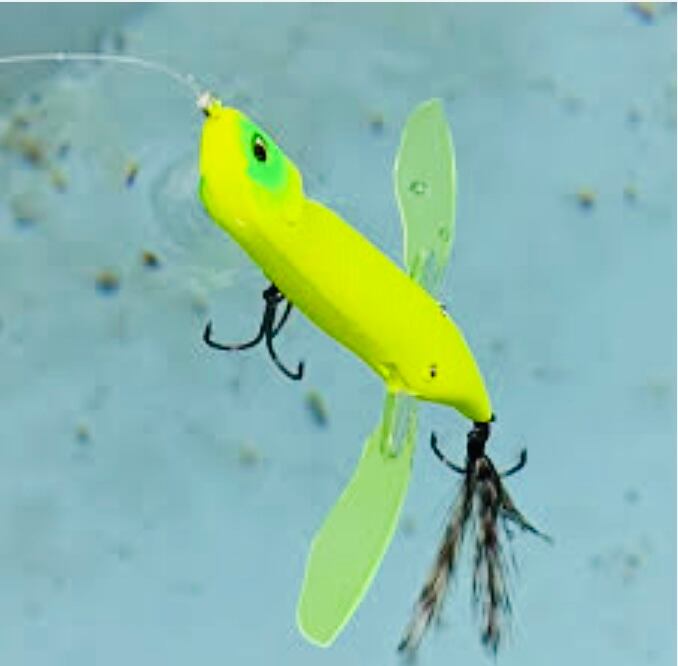 イマカツセット アベンタクローラーRS バゼル クジャラ レイジー