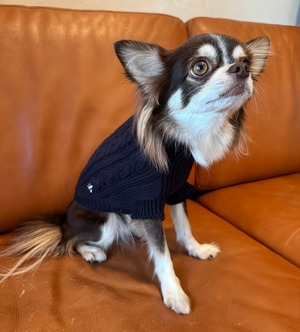 ビーミンスターケーブルニット