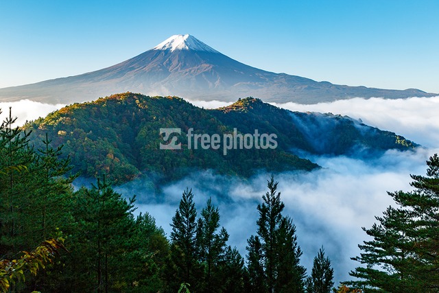 西川林道からの新緑と富士山［富士河口湖町］