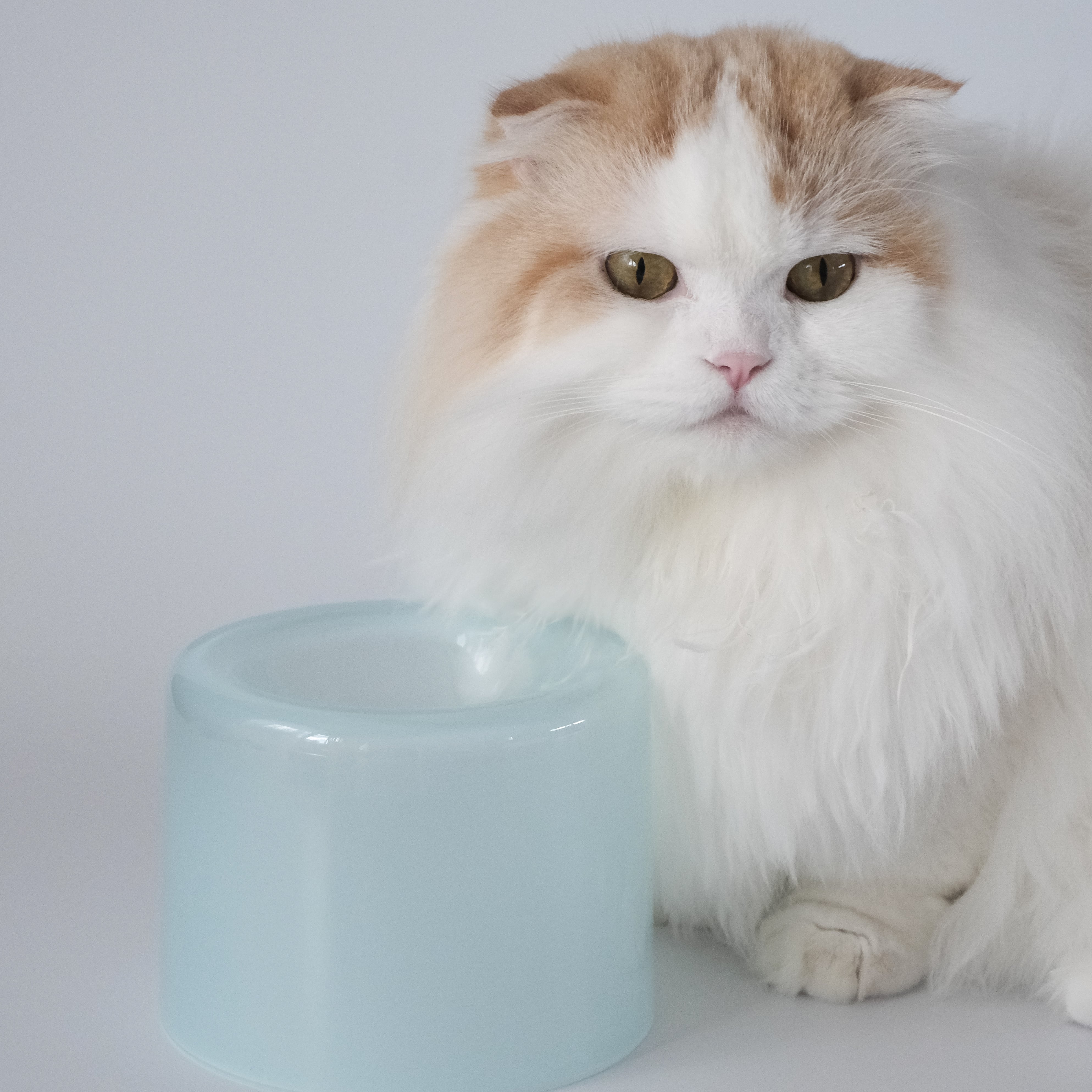 Glass Food Bowl/Ice Mint