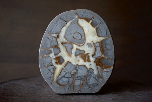 ユタ州産セプタリアン　Septarian　1069