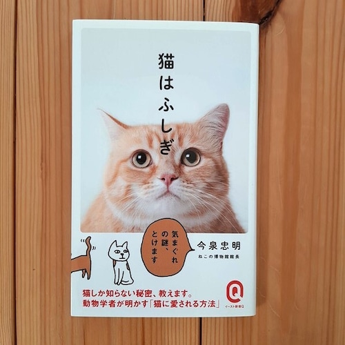 （古本）猫はふしぎ