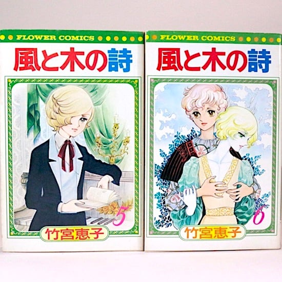 風と木の詩 全17巻セット 竹宮恵子 フラワーコミックス | HANAMUGURI