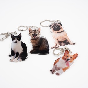 【送料無料】うちのこ アクリルキーホルダー 切り抜き型（写真）