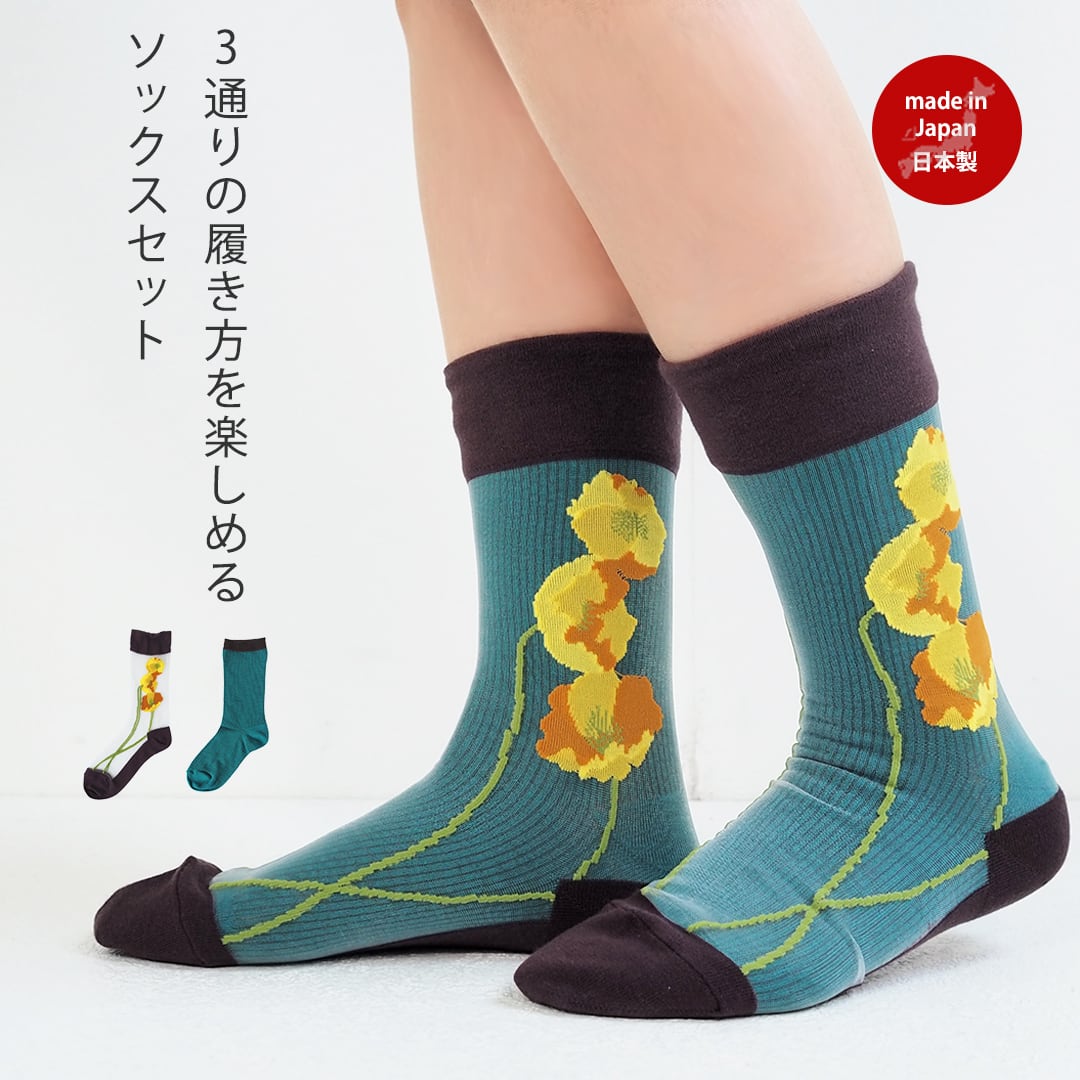 シースルーソックス | MAISON BLANCHE メゾンブランシュ