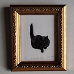 【オリジナル額装込】古屋 郁／Kaoru Furuya　作品#31　もふもふのノラ猫