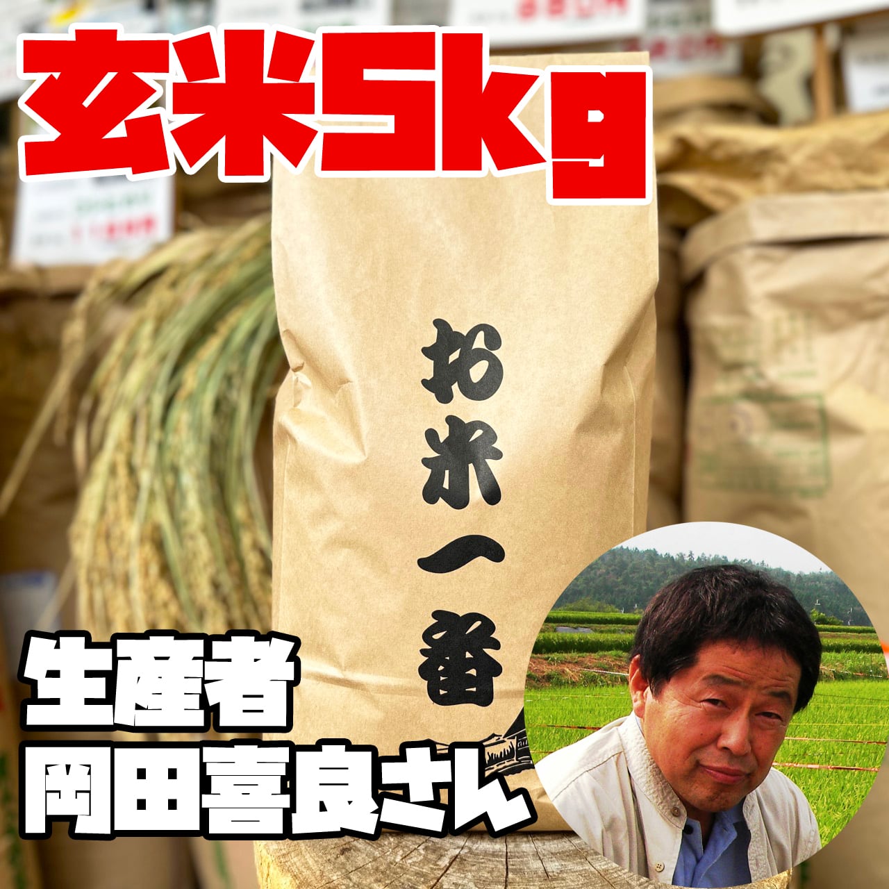 食品 令和5年度石川県産コシヒカリ玄米
