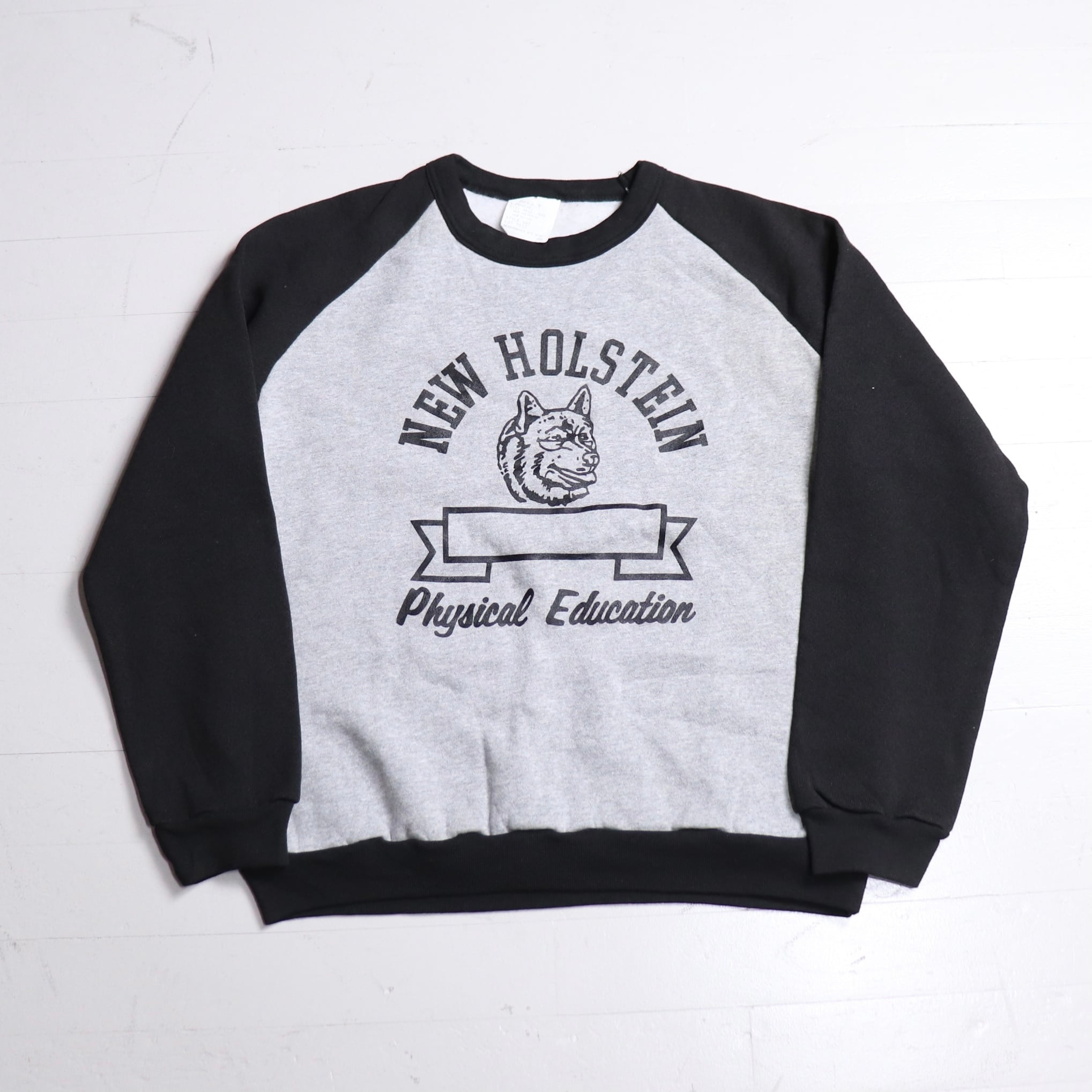 1980s  Deadstock  Merrygarden  Sweatshirts "NEW HOLSTEIN" Made in USA K234