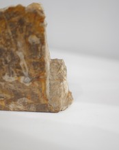 OAK Petrified Wood - Book End #007 ：Natural｜珪化木／一点もの／静かな重み