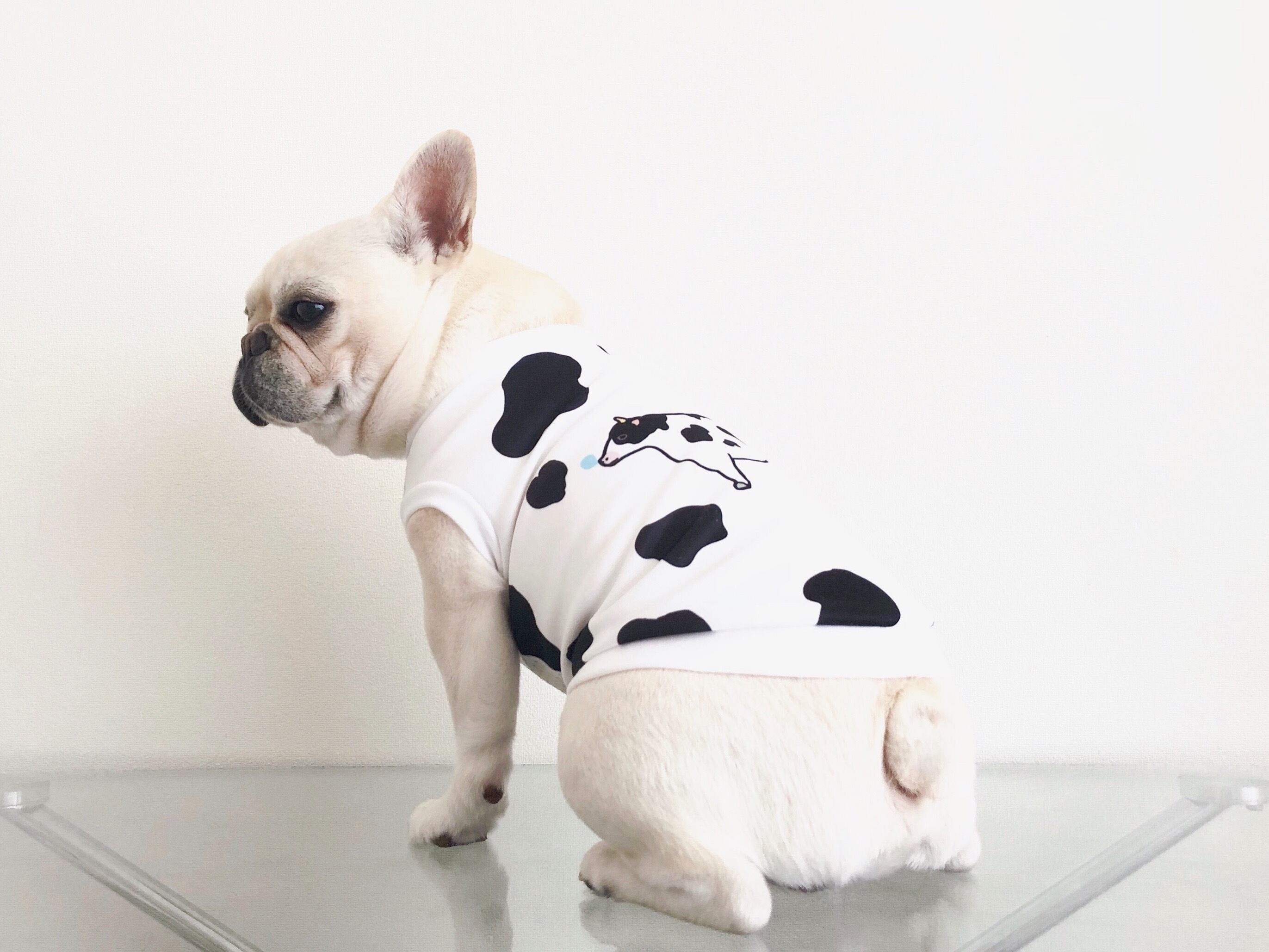 フロントメッシュタンクトップ＊ウシさん＊ | 犬服BUTTER