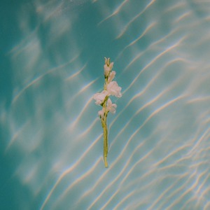 Goldmund ゴールドムンド - In Each Moment [CD]（p*dis/Netttwerk）