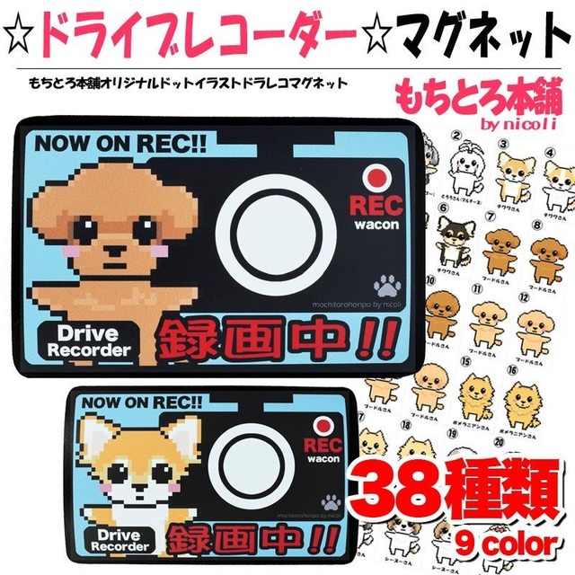 マグネットタイプ ドライブレコーダー録画中 ドラレコ わんこ チワワ トイプー シーズー マルチーズ ダックス イラスト もちとろ本舗 トップノット パグ ヨーキー Mochitoro