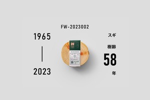 スギ コースター 1965-2023