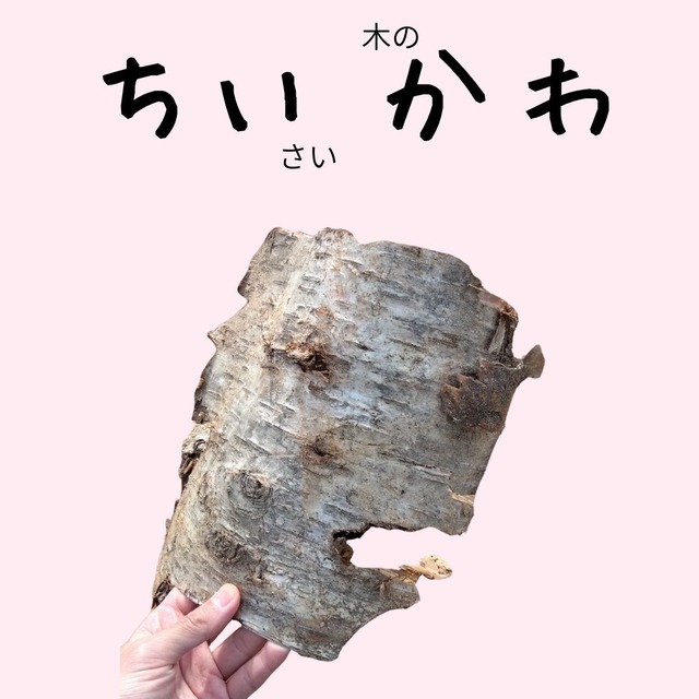 ちいさい木のかわ　シラカバ・ヤマザクラなど樹皮　青森県産広葉樹　焚き付け、着火剤用【送料無料（一部地域除く）】