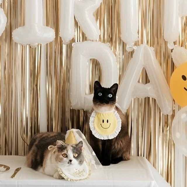 Smilyエプロン 猫 すたい