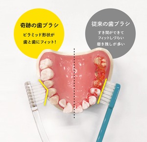 ■正規品■ まとめ買いでお得！【6本セット】  奇跡の歯ブラシ BIG 「奇跡の歯ブラシ」の進化版！ BIGサイズで清掃力UP ハブラシ 口腔ケア オーラルケア 大きめヘッド 歯並び 歯列矯正