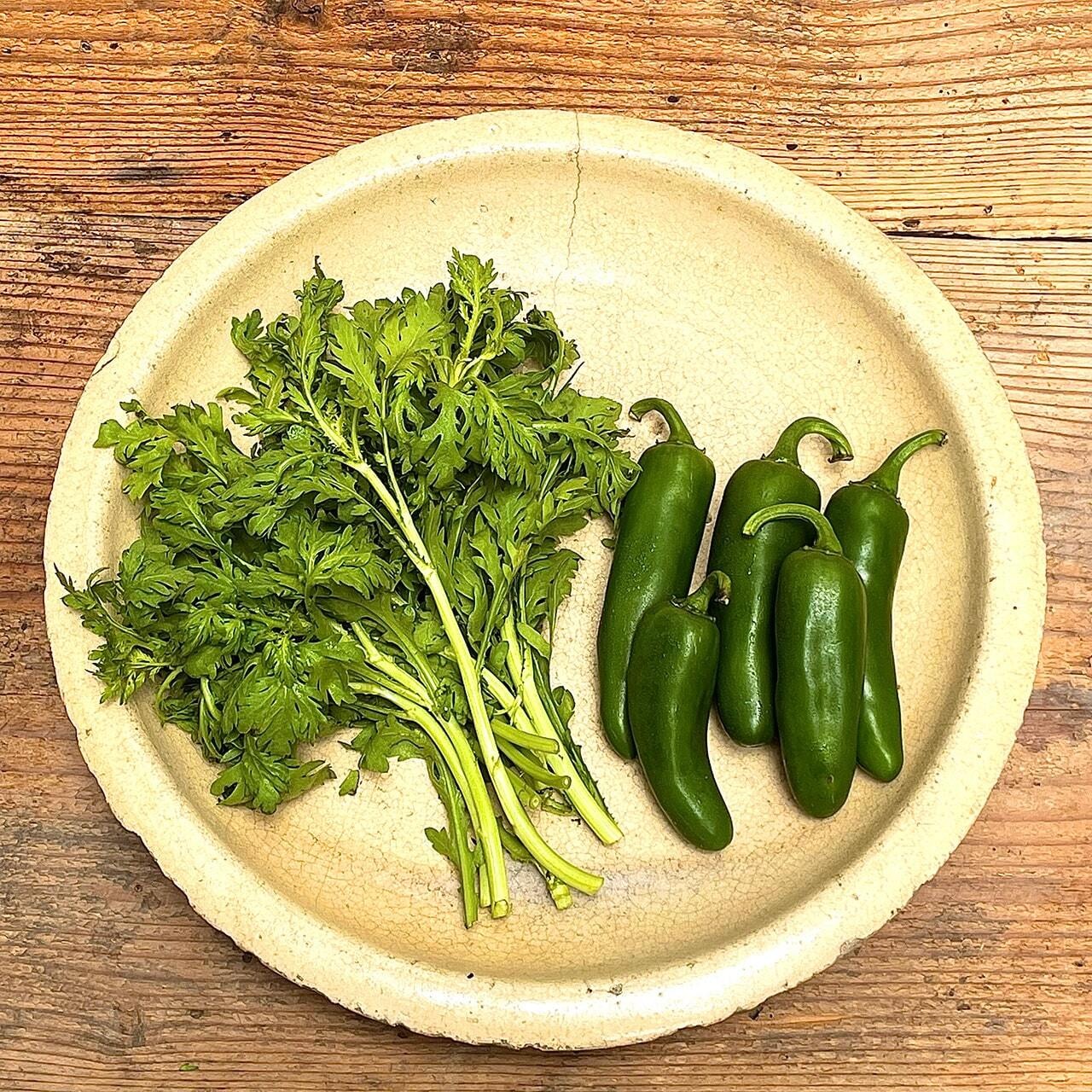 VEGETABLE WONDERLAND SET（Mセット/月1回コース）
