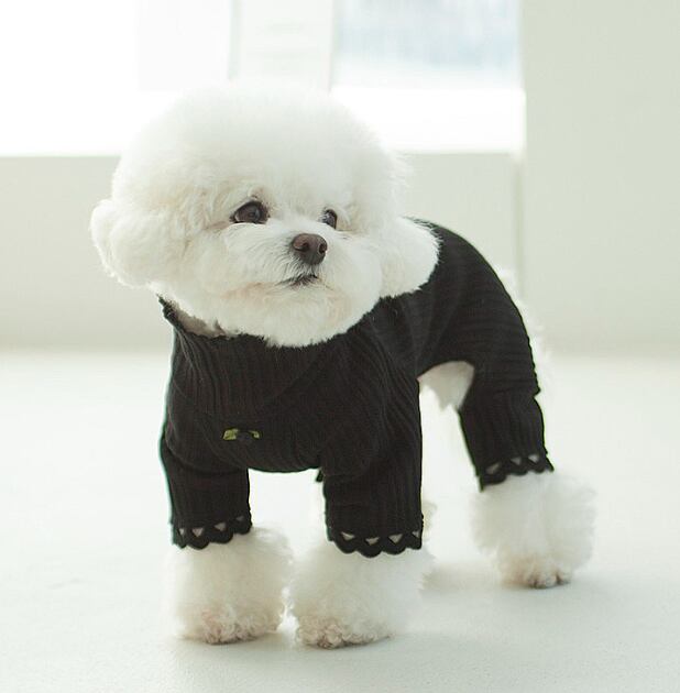 予約【cocochien】COI All-in-One