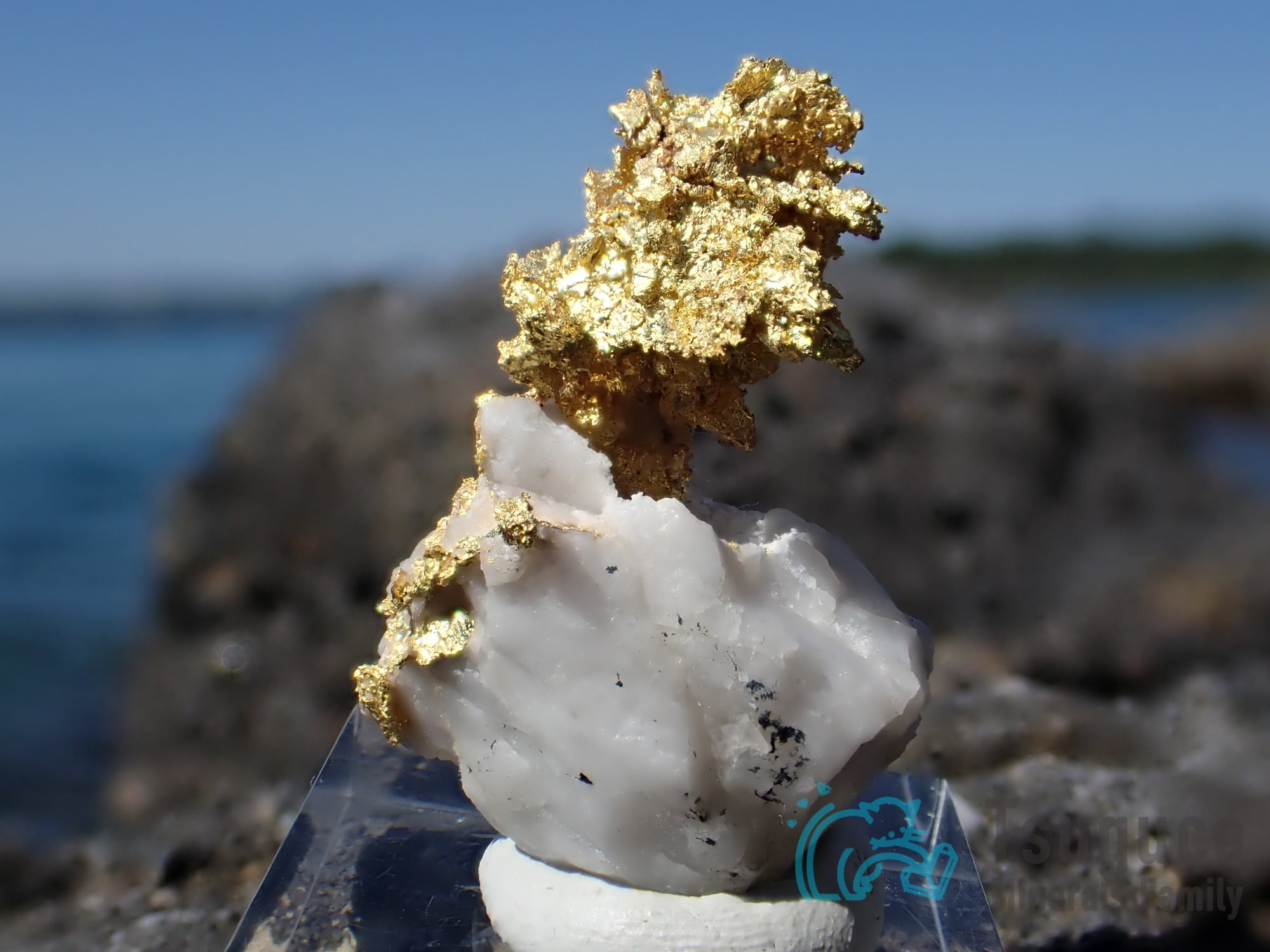 国産】自然金 岩手県 松倉鉱山産 国産鉱物 砂金 ネイティブゴールド