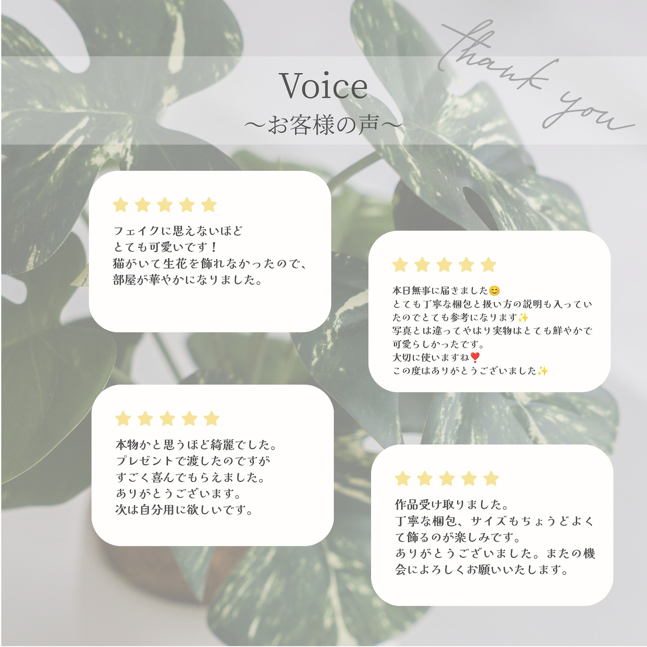 Green ノリナ 鉢付き フェイクグリーン