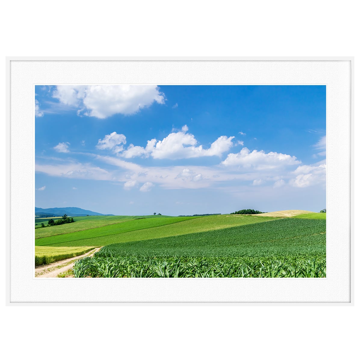 風景写真/額装 カラープリントA2サイズ 額装 (KANI写真展仕様) | ロカ・デザイン