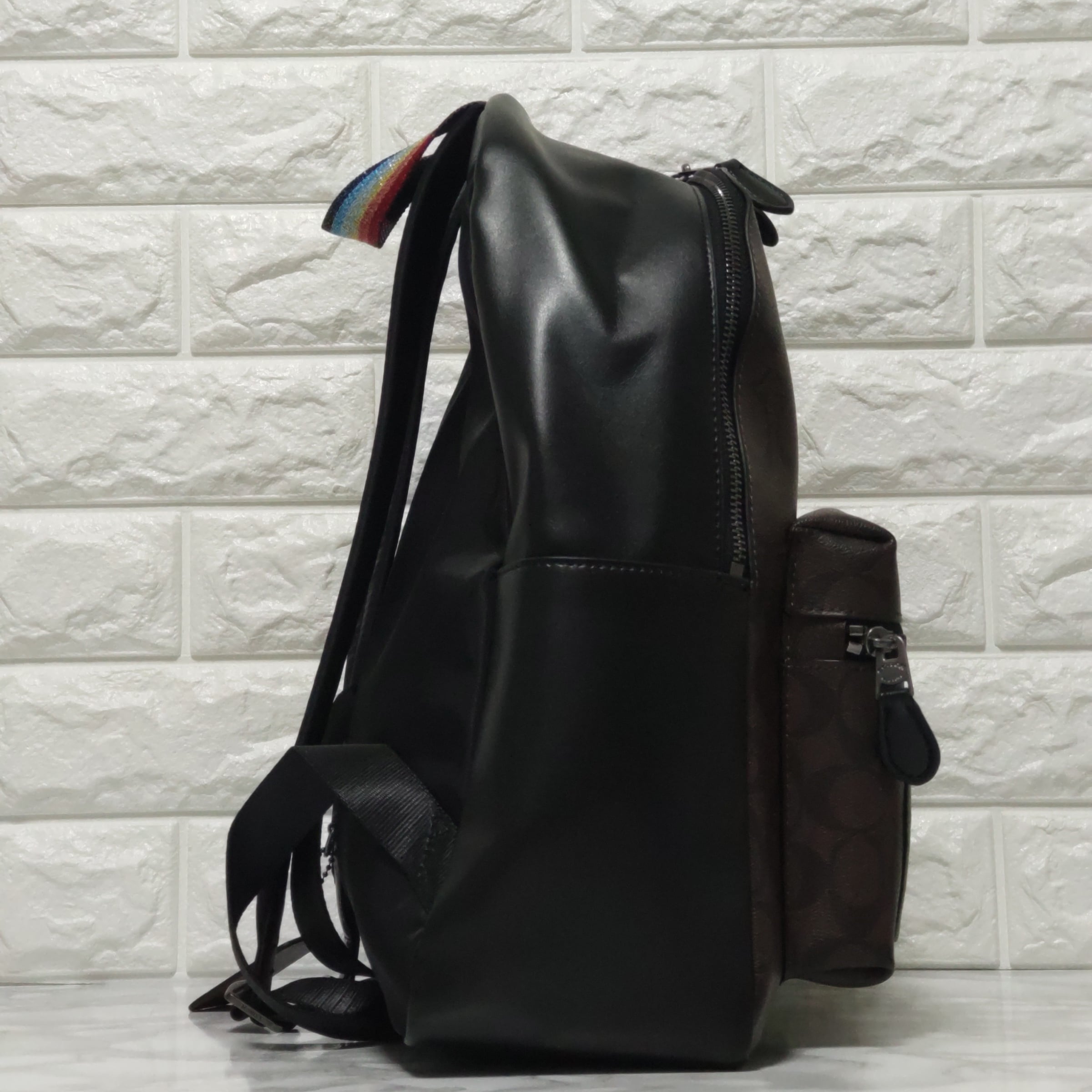 COACH コーチ シグネチャー ディズニーコラボ リュック COACH コーチ シグネチャー ディズニーコラボ リュック