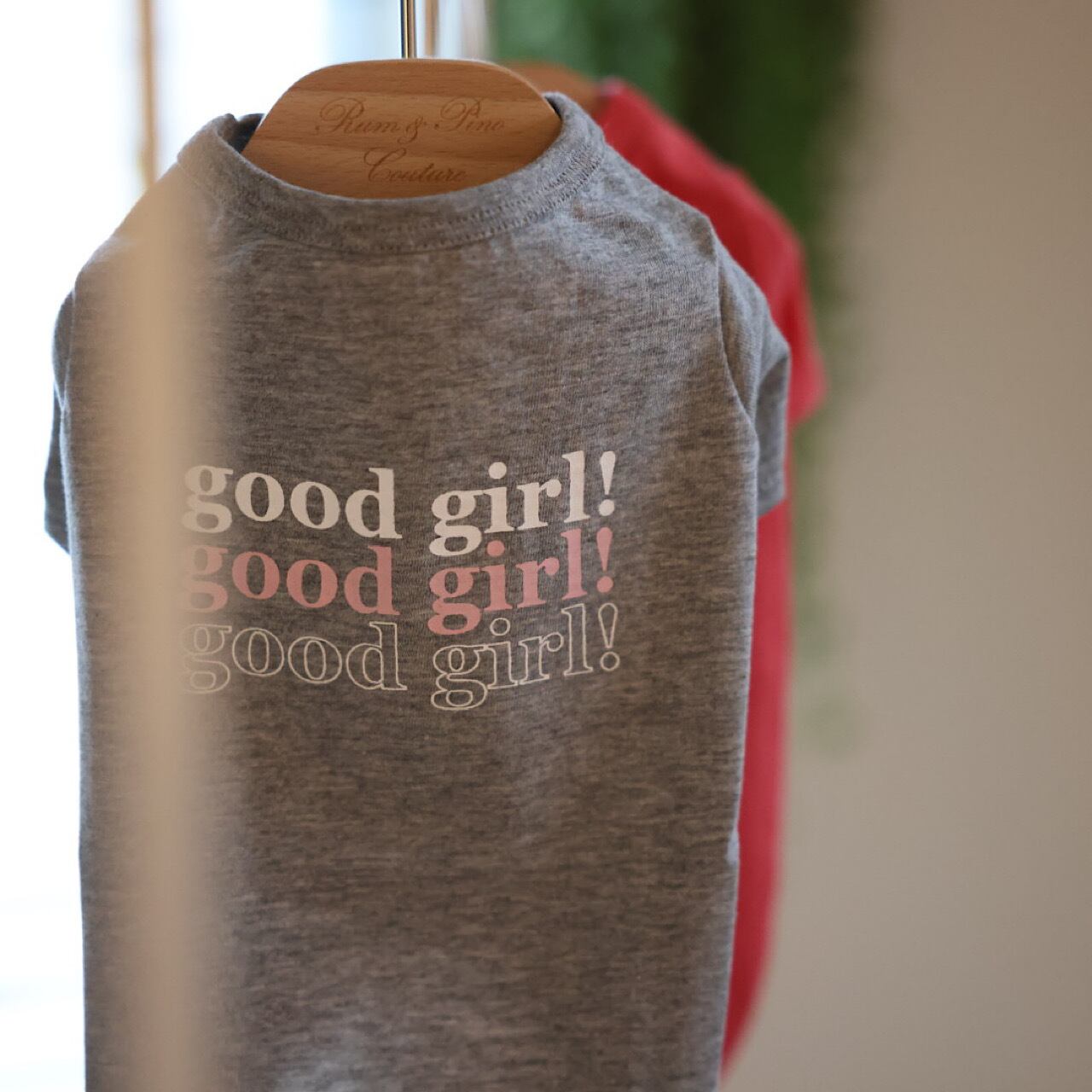 3点おまとめ未使用 ラムピノクチュール good girl Tシャツ 犬服 未使用 ラムピノクチュール good girl Tシャツ 犬服 ダックス - メルカリ