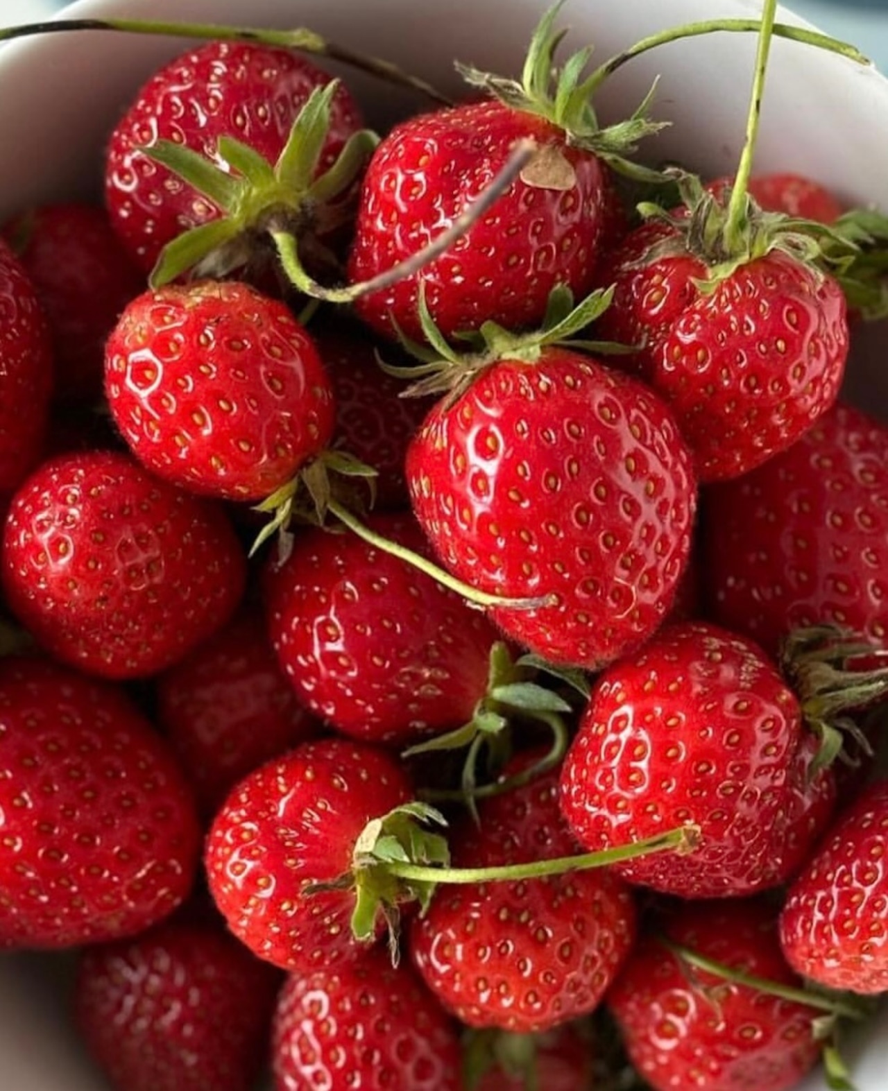 New 到着日 4月12日(日) 苺ミルク(フランス産シャルロット、クレリー種)抽選申し込み 画像1