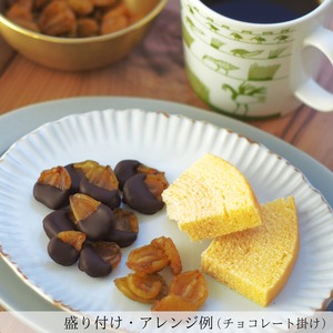 シャインマスカットのドライフルーツ 45g  国産 砂糖不使用 無添加