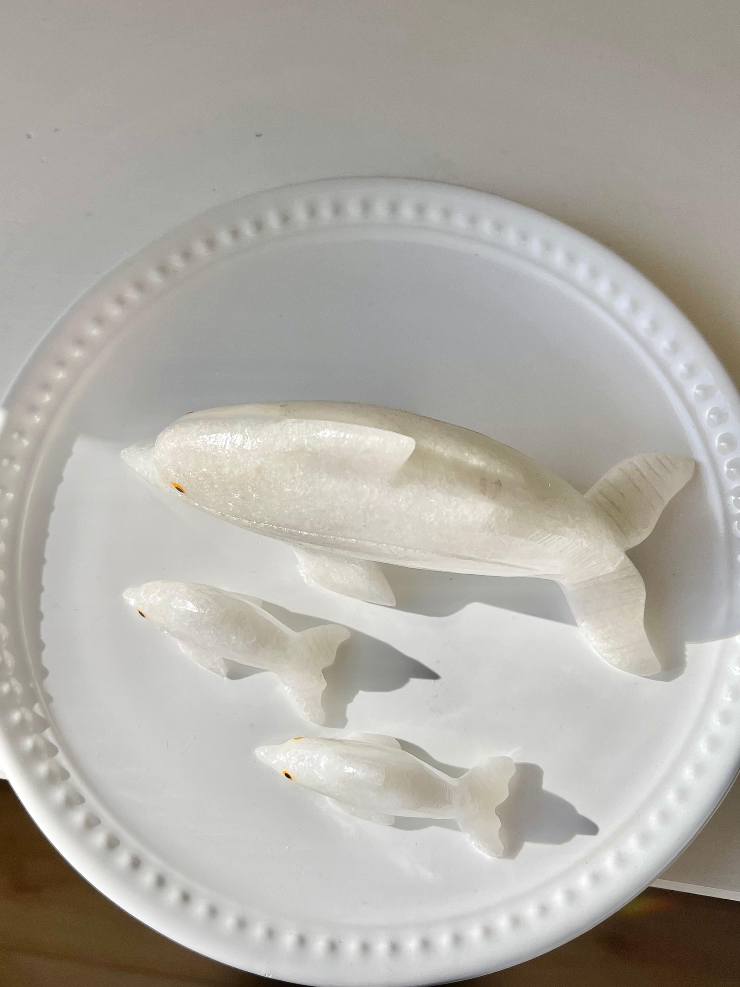 癒し❤️ドロマイトのドルフィンファミリーセット/ Dolomite dolphins (Family set)