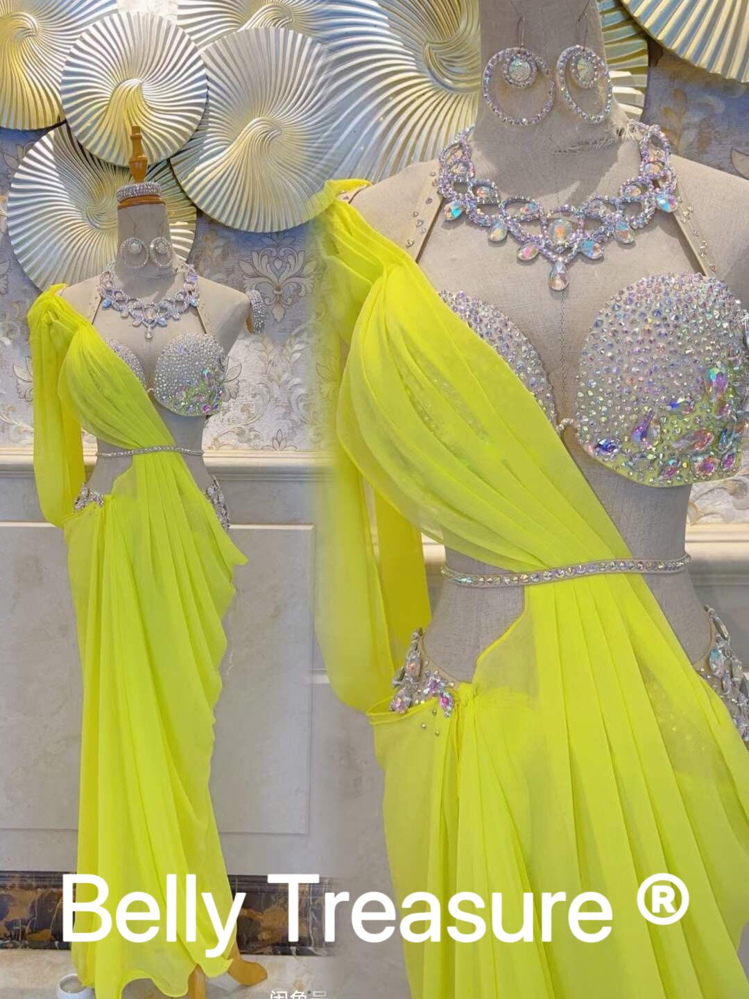 ベリーダンス オーダーメイド衣装 LY 003 202401