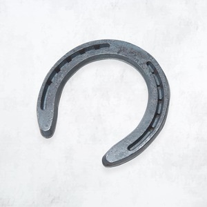 勝利のホースシュー