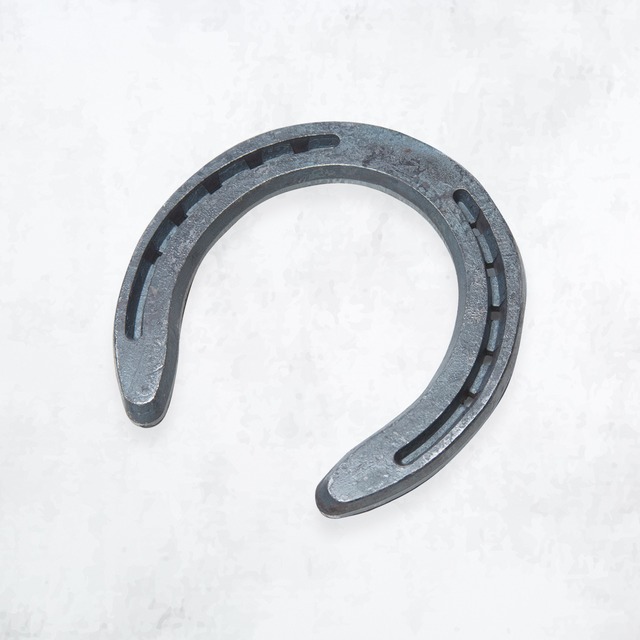 勝利のホースシュー