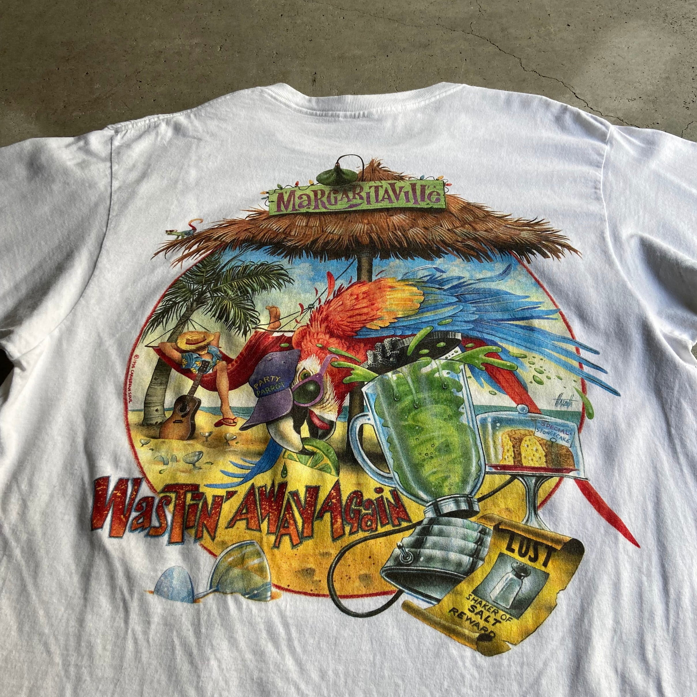 新入荷SALE対象外】90年代 USA製 Caribbean Soul トカゲ アニマル 