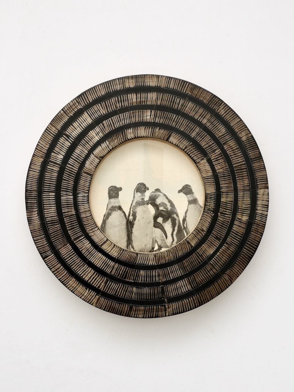 フォトフレーム CAUBIS バッファローボーン(19cm)|Photo Frame CAUBIS – Buffalo Bone