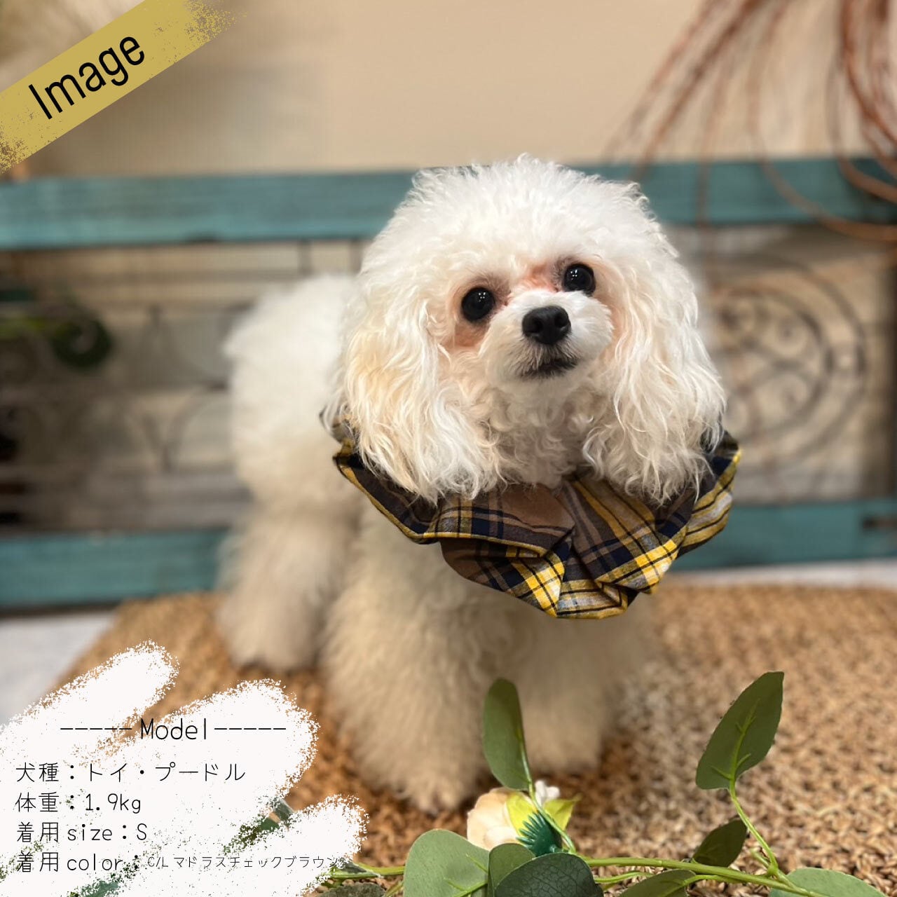 短毛シュシュ、グレーチェック、わんちゃん猫ちゃん用